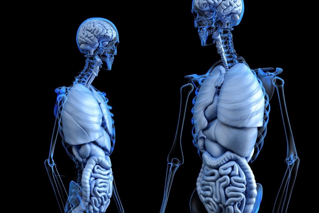 Künstliche Intelligenz (KI) für soziale Zwecke und Gesundheit Künstliche Intelligenz (KI) für soziale Zwecke und Gesundheit